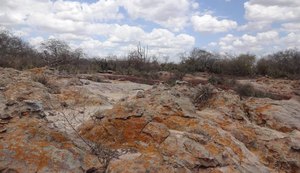 II Semana da Caatinga do IMA/AL tem início na próxima quinta-feira