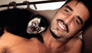 Morre após ser atropelado Twelves, macaco de Latino