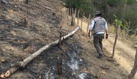 Desflorestamento de Mata Atlântica cresce 36% em Alagoas, aponta Inpe