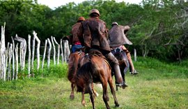 I Vaquejada de Pega de Boi no Mato promete movimentar Pão de Açúcar com cultura, esporte e música sertaneja