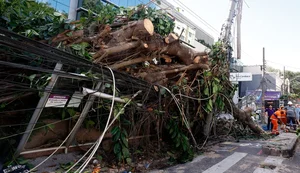 Ventania em RJ, SP e RS expõe falhas na resposta a extremos climáticos