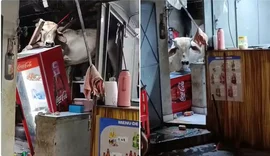 Vaca cai em telhado de bar e causa prejuízo no centro de Capistrano