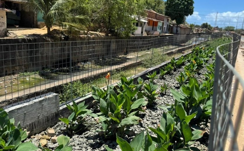 Vice-prefeito e titular da Seminfra destaca importância dos jardins filtrantes para o Renasce Salgadinho