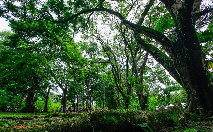 Parques de Maceió voltam a funcionar durante os fins de semana