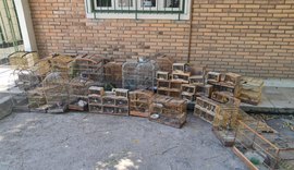 Quase 200 aves ameaçadas de extinção são resgatadas durante Operação Feira Livre
