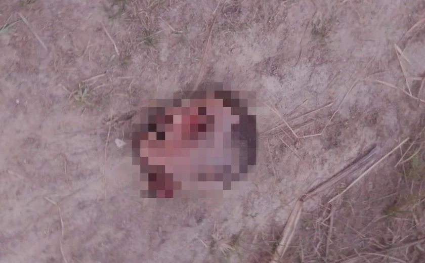 Suspeitos de desaparecimentos e homicídios na Rota Ecológica são alvos de operação em Alagoas