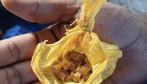 Guarda Civil de Maceió apreende 85 pedras de crack na Ponta Verde