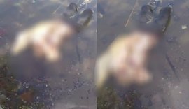 Jovem desaparecido é encontrado morto às margens da Lagoa Mundaú em Maceió