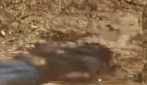 Corpo encontrado em Igaci pode ser de jovem desaparecido em Craíbas