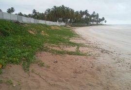 Em Alagoas a engorda natural recupera a faixa de praia