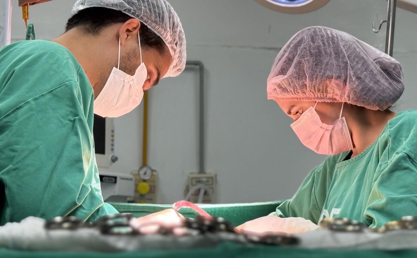 HGE inicia o fim de semana realizando captação de dois rins e um fígado para transplante