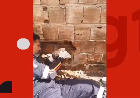 Morte de recém-nascido encontrado entre paredes de casas é investigada como infanticídio, diz delegado