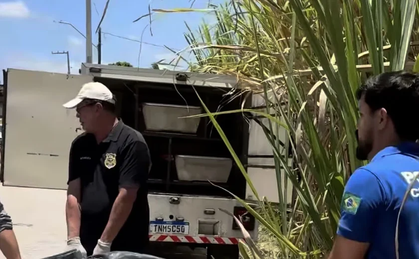 Jovem é encontrado morto com marcas de tiros e golpes de arma branca em canavial em Alagoas