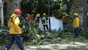 Queda de árvore deixa 12 mortos e 50 feridos em Portugal