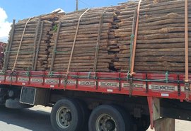 PRF flagra madeira irregular, carga sem nota e Arla adulterado que tinha como destino o estado de AL