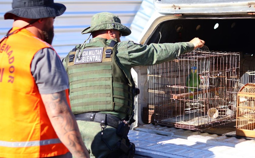 Centenas de animais silvestres resgatados pela FPI do São Francisco voltam para a natureza