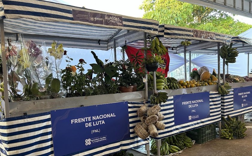 Sedics consolida avanços e fortalece desenvolvimento econômico de AL