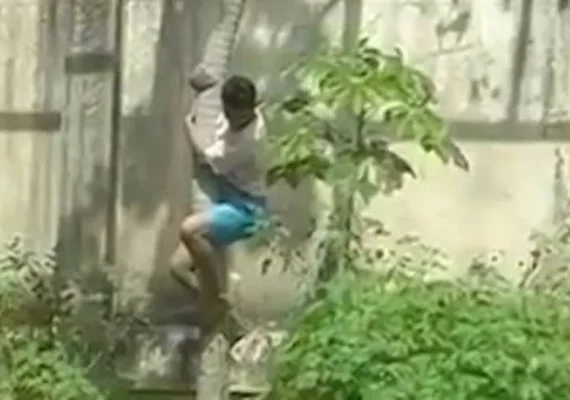 Homem é morto por leoa após entrar em jaula em zoológico de João Pessoa