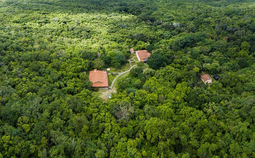 Caatinga se destaca como aliada no combate às mudanças climáticas