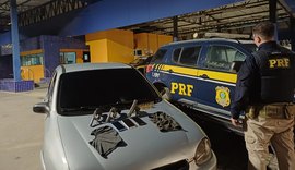 PRF prende homem por porte ilegal de 3 armas de fogo em Campo Alegre