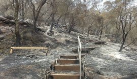 Número de mortos em incêndios registrados na Austrália sobe para 23