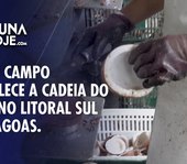 Dia de Campo impulsiona cultura do coco em Alagoas