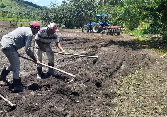 Plantio de milho no Dia de São José é registrado em reportagem especial