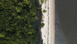 “Não existe Planeta B”, alerta astrofísico às vésperas da COP30