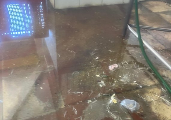 Vigilância Sanitária interdita avícola com atividade irregular na Levada