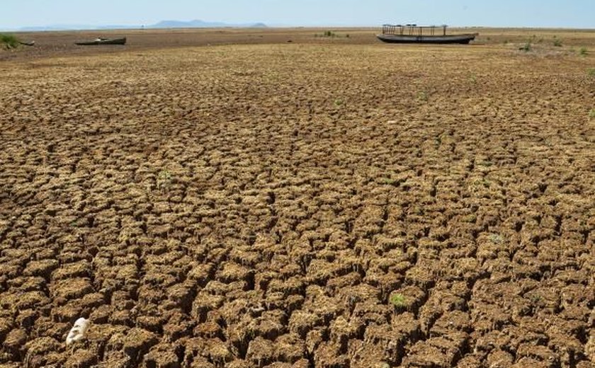 Agricultores familiares do Sertão vivem 'seca do chão rachado'