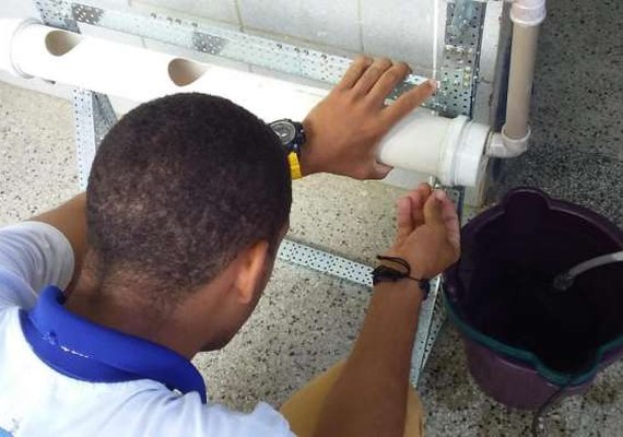 Escolas do estado são selecionadas para a maior feira de iniciação científica do País