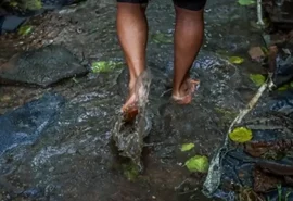 Saúde orienta população de Maceió sobre leptospirose no período chuvoso