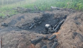 Operação Protetor dos Biomas intensifica combate a crimes ambientais em Alagoas