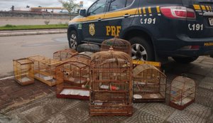 PRF em Alagoas detém duas pessoas no final de semana por crimes distintos