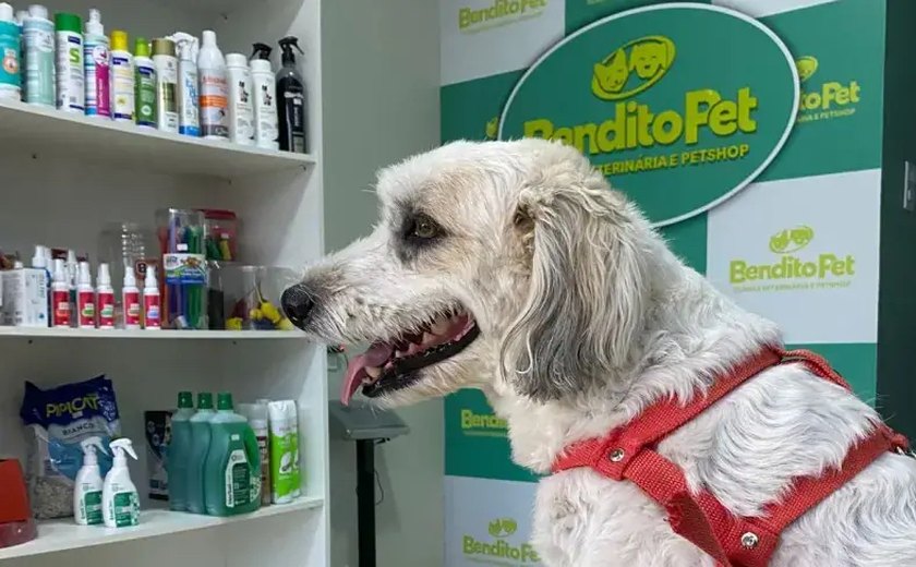 Crescimento do mercado pet amplia oportunidades de negócio em Alagoas
