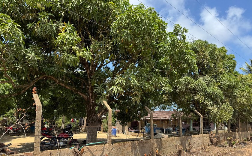 Prova técnica de campo reacende esperança da Família Vieira e pode selar posse de terras em Riacho Doce