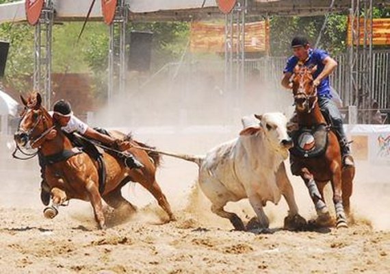 Promotoria de Arapiraca ajuíza ação para impedir 12ª Vaquejada Parque Divina Luz