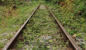 Mulher de 61 anos fica ferida ao cair próximo de trilho em Fernão Velho