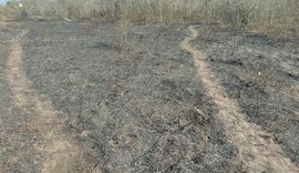 Incêndio atinge área na aldeia Kariri-Xocó em Porto Real do Colégio