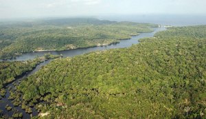 Governo Temer convoca mineradoras à nova caça ao ouro na Amazônia