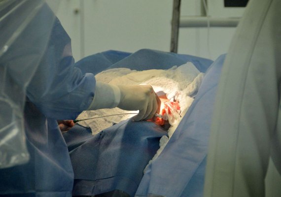 Transplantes de coração em Alagoas quadruplicam no primeiro semestre de 2019