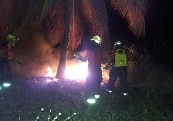 Incêndio em vegetação assusta moradores em Porto de Pedras
