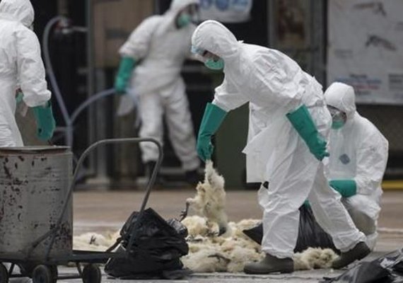 China confirma primeiro contágio humano de cepa da gripe aviária