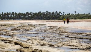 Pesquisa revela perfil do turista que visita a região Costa dos Corais