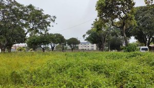 Terreno abandonado: população pode denunciar e proprietários sofrerem punição