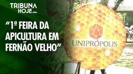 1ª Feira da Apicultura em Fernão Velho reúne produtores, ciência e venda direta