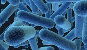 Vírus que provocou surto de gripe nos EUA também circula no Brasil