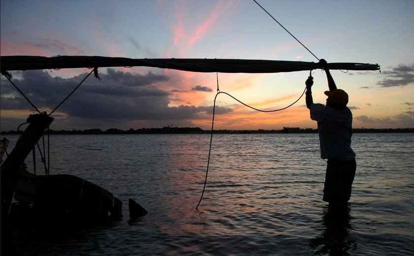 Peixamento com surubim e pirá no Velho Chico marca Semana do Meio Ambiente