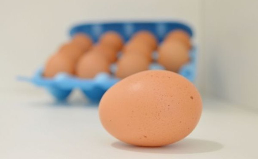 Vigilância Sanitária Estadual dá dicas para o consumo de ovos