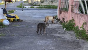 Braskem: R$ 41 mi em projetos duvidosos